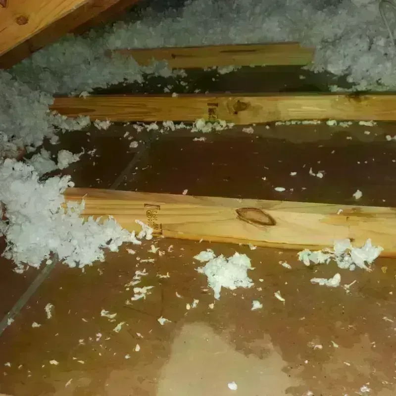 Attic Water Damage in Buchanan County, IA